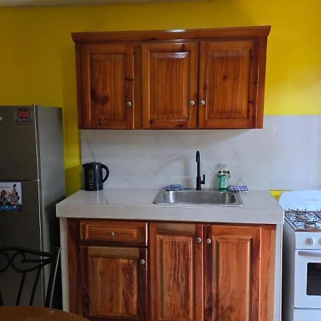 Wizzy Apartment White River Ocho Rios Exterior photo